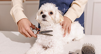 글로벌호텔관광과 학생활동 사진-6